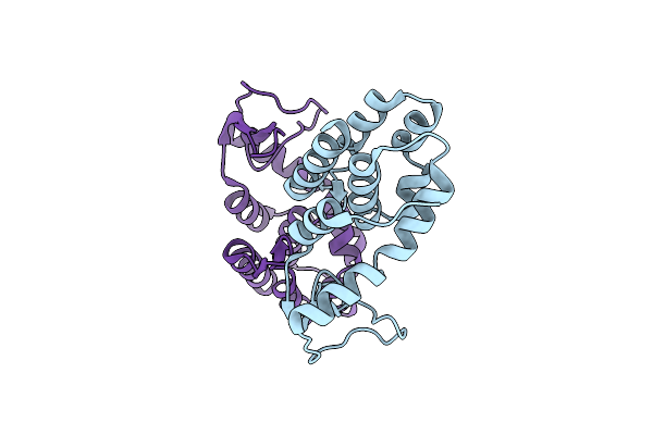 9KBQ image