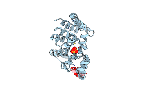 9KBT image