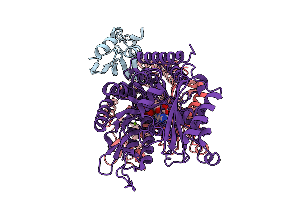 9KBW image