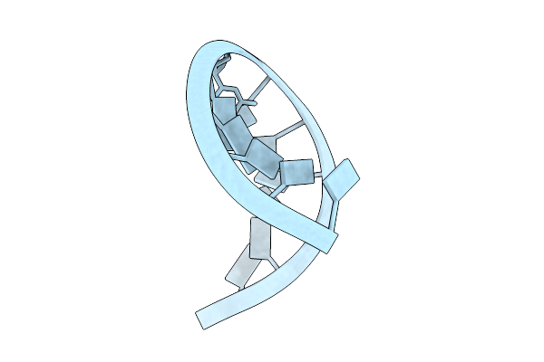 9KCC image
