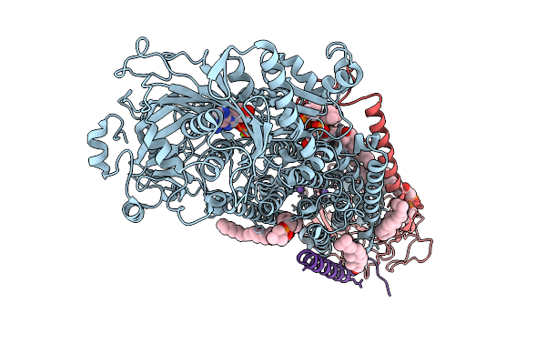 9KCG image