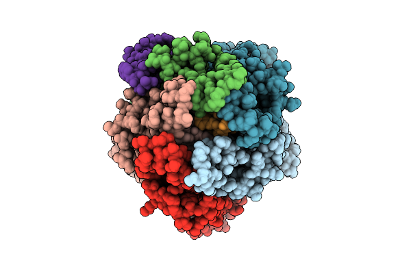 9KCH image