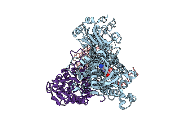 9KCL image
