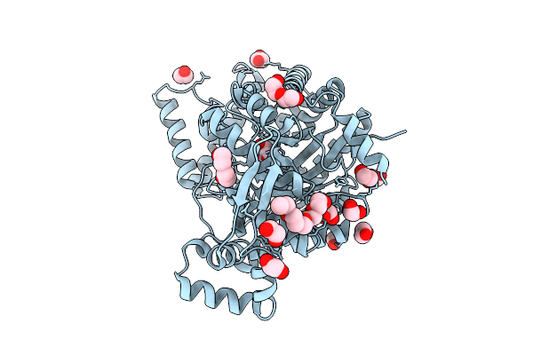 9KCS image