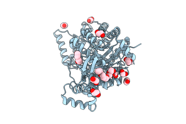 9KCT image