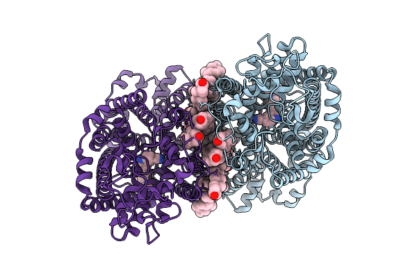 9KDA image