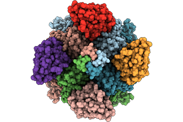 9KDB image