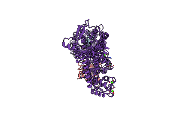9KDF image