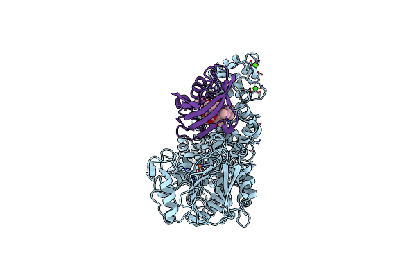 9KDG image