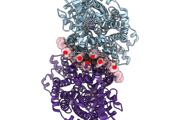 9KDM image