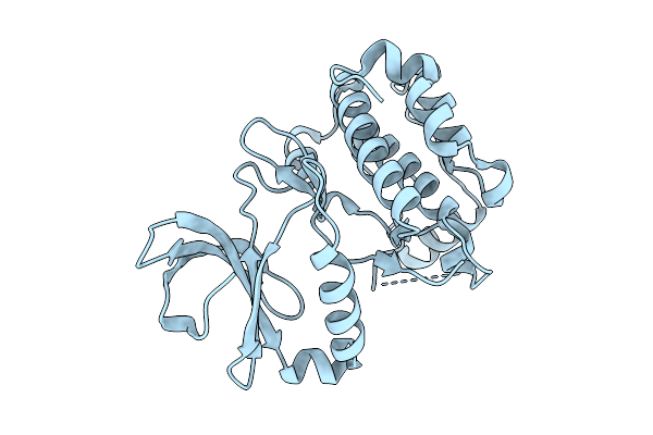 9KDS image