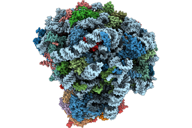 9KDT image