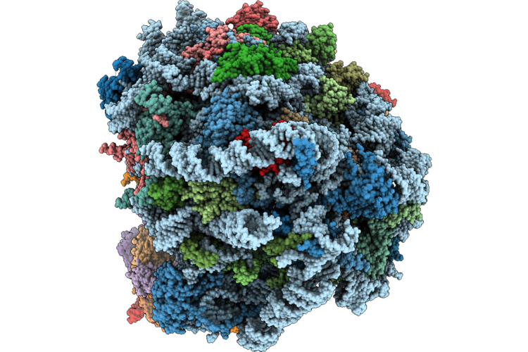 9KDU image