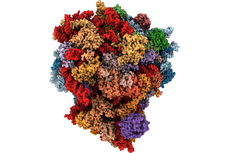 9KDW image
