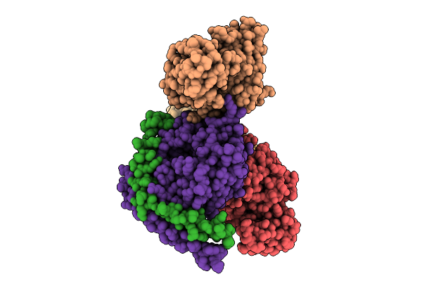 9KFK image