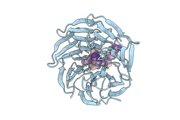 9KFO image