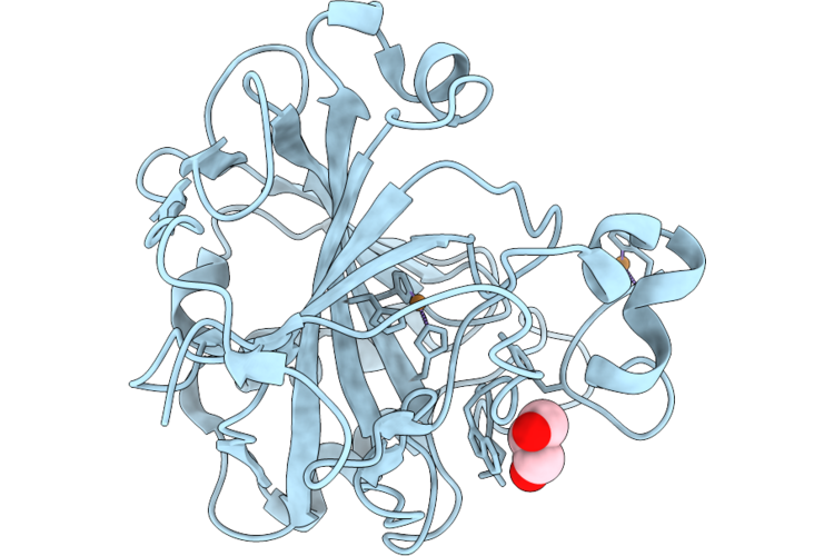 9KJ2 image