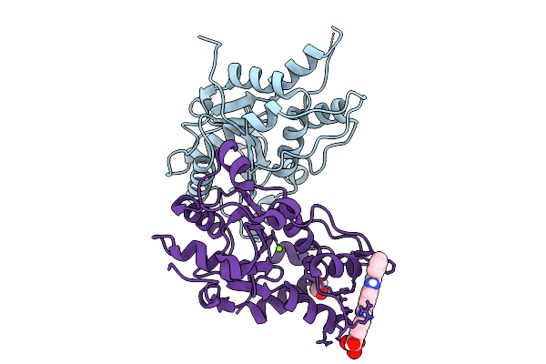 9KJS image