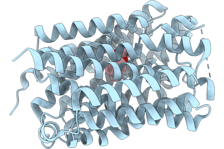 9KKN image