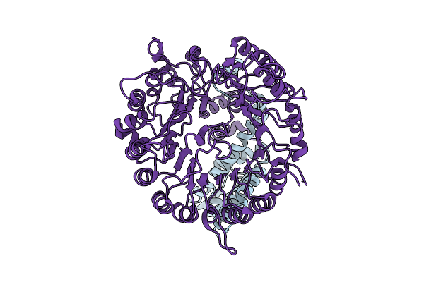 9KLL image