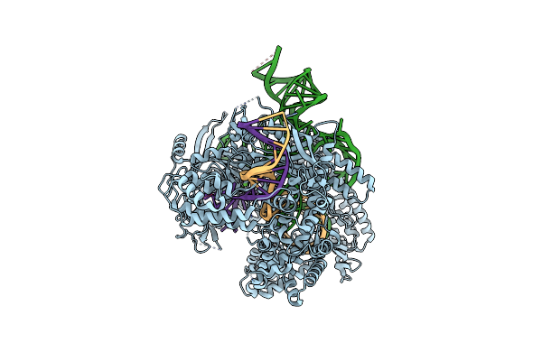 9KLO image