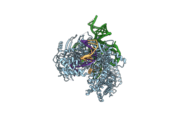9KLP image