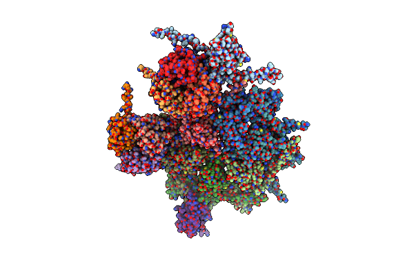 9KMG image