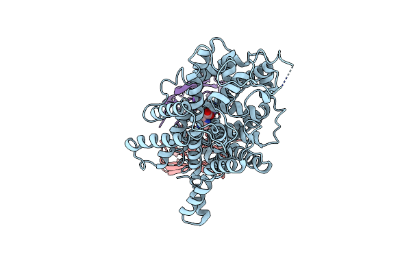 9KMM image