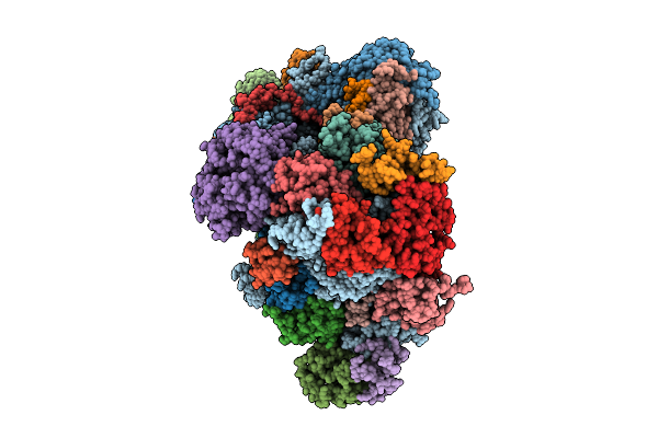 9KMT image