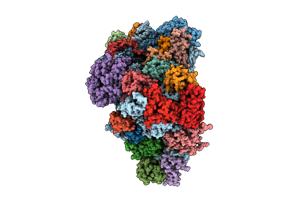 9KMU image