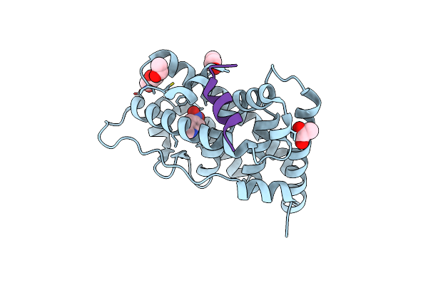 9KNE image