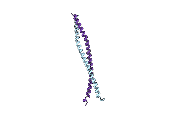 9KNS image