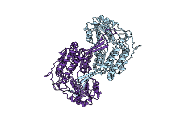 9KOI image