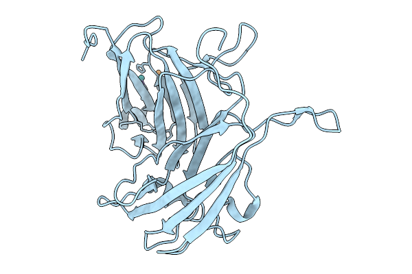 9KOL image