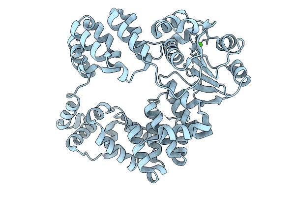 9KOP image