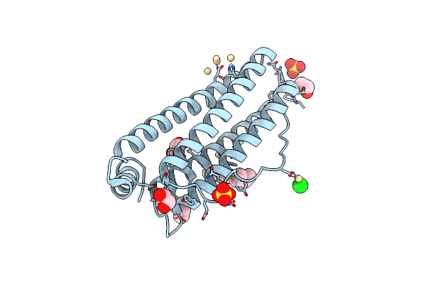 9KP2 image