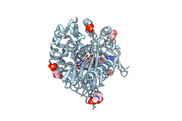 9KP8 image
