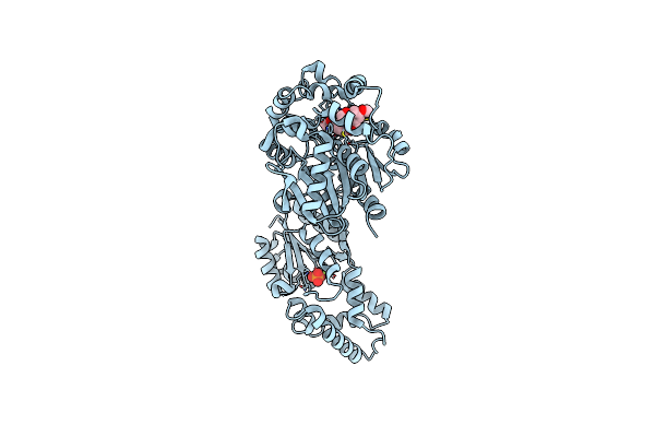 9KPI image