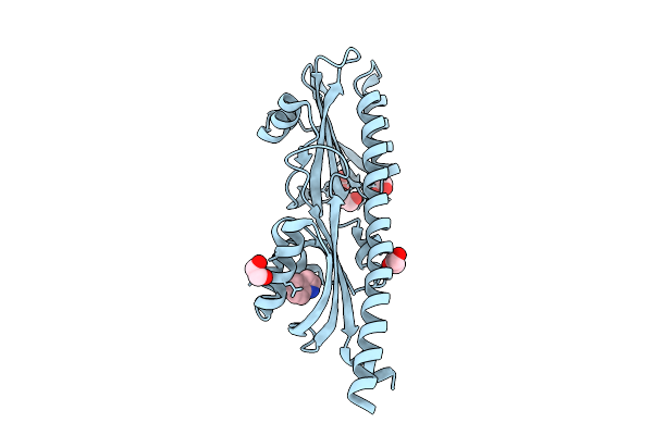9KPJ image