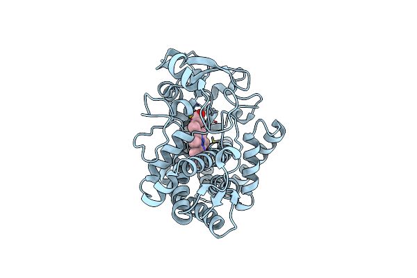 9KPP image