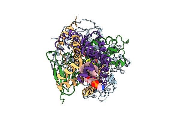 9KPS image