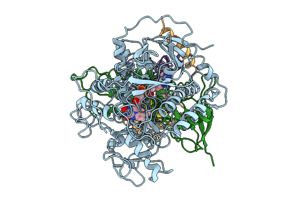9KPT image