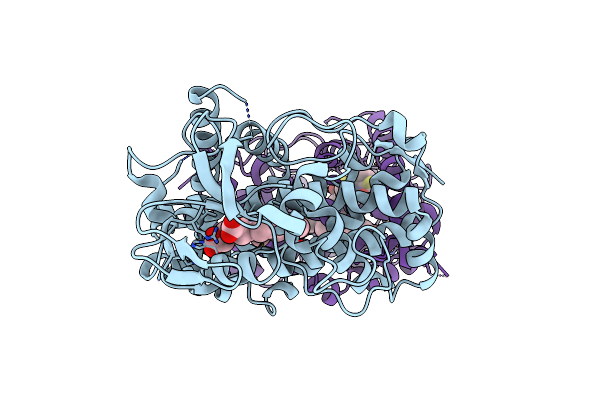 9KPU image