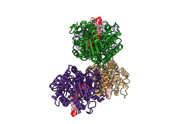 9KPX image