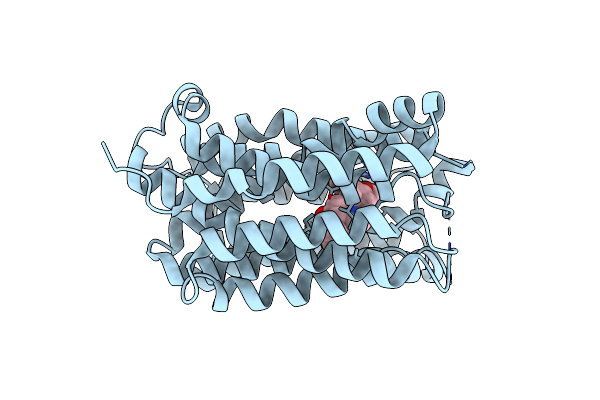 9KQA image