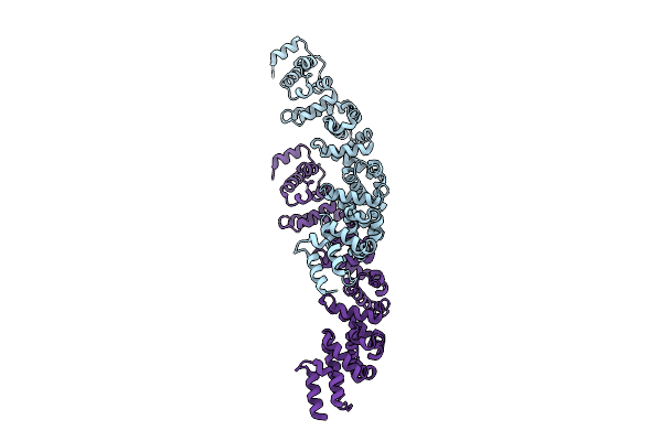 9KSG image
