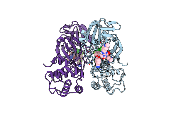 9KSK image