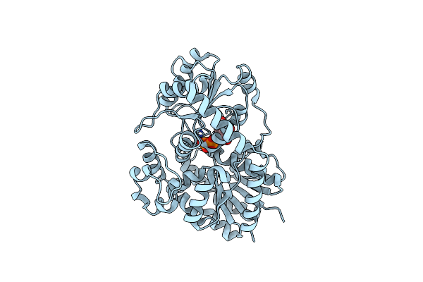 9KSM image