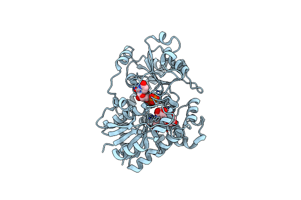 9KSO image