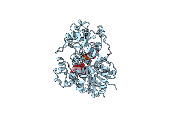 9KSS image